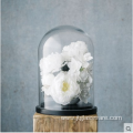 Clear Glass Bell Jar Dome With Flower